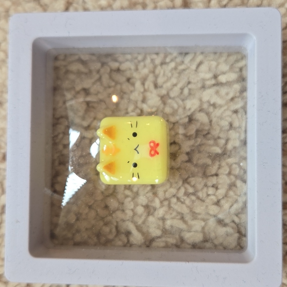 Keyboard Key Cap. Apple Compatible